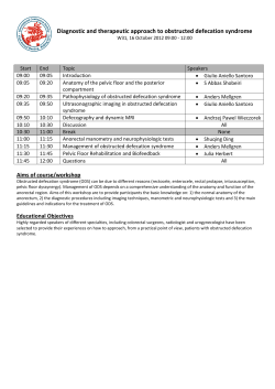 PDF Workshop handout - International Continence Society