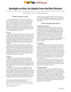 Spotlight on Rice: An Update from the Rice Division