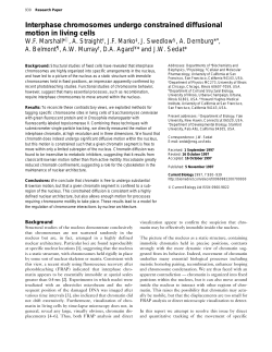 Interphase chromosomes undergo constrained diffusional motion in