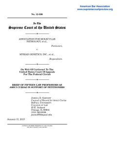 Brief of Fifteen Law Professors