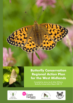 Butterfly Conservation Regional Action Plan for the West Midlands