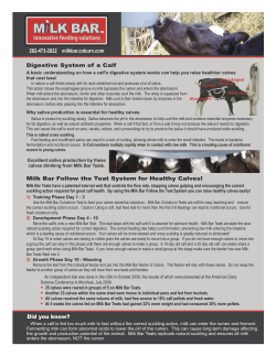 Digestive System of a Calf Milk Bar Follow the Teat System for