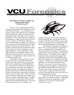 The Effects of Drugs on Bugs: An Independent Study