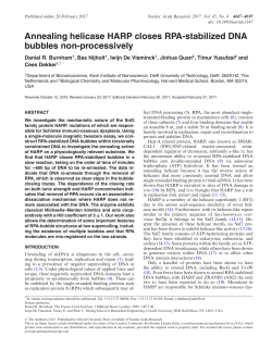 Annealing helicase HARP closes RPA-stabilized