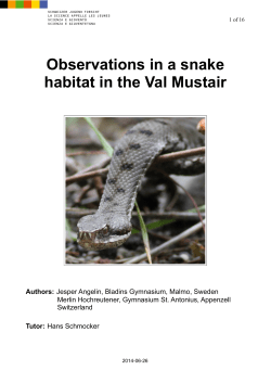 Observations in a snake habitat in the Val Mustair