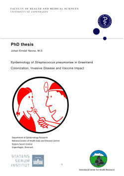 PhD thesis - University of Greenland