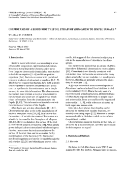 Chemotaxis of a birdsfoot trefoil strain of Rhizobium to simple sugars*
