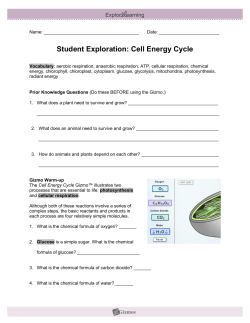 Cell Energy Gizmo