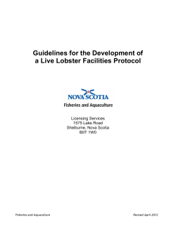 Guidelines for the Development of a Live Lobster Facilities Protocol