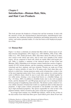 Introduction&mdash;Human Hair, Skin, and Hair Care Products