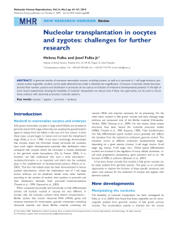 Nucleolar transplantation in oocytes and zygotes