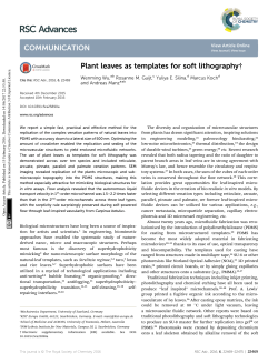 Plant leaves as templates for soft lithography