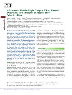 Allocation of Absorbed Light Energy in PSII to