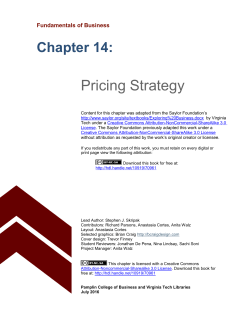 Pricing Strategy - VTechWorks
