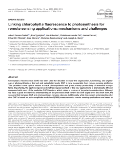 Linking chlorophyll a fluorescence to photosynthesis for remote