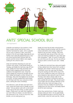 ants` special school bus