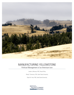 manufacturing yellowstone