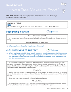 Days 7-8 Read Aloud- "How a Tree Makes Its Food"