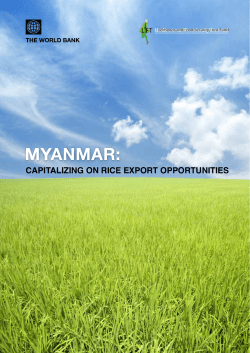 Myanmar: Capitalizing on Rice Export