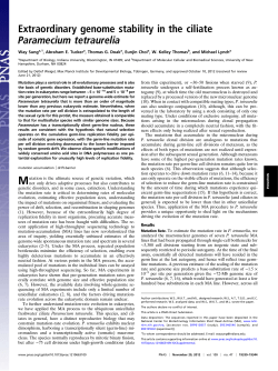 Extraordinary genome stability in the ciliate Paramecium tetraurelia