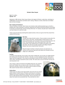 Durham`s Bear Canyon