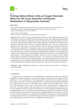 Full-Text PDF