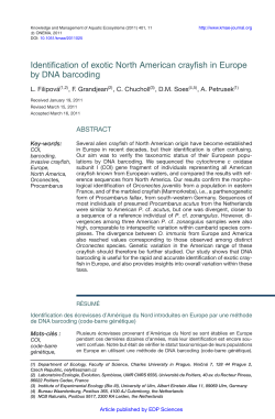 Identification of exotic North American crayfish in Europe by DNA