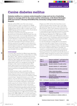 Canine diabetes mellitus - Veterinary Ireland Journal