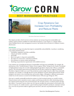 Crop Rotations Can Increase Corn Profitability and