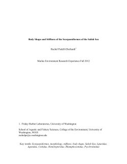 Rachel_Final Paper - University of Washington