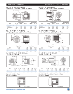 Terminal Box/Lead Options