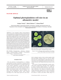 Optimal phytoplankton cell size in an allometric model