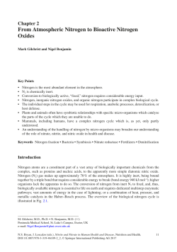 From Atmospheric Nitrogen to Bioactive Nitrogen Oxides