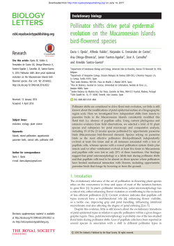 Pollinator shifts drive petal epidermal evolution on the