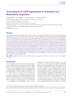 The Evolution of COP9 Signalosome in Unicellular and Multicellular