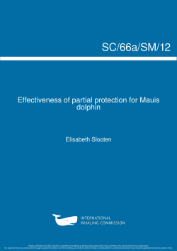 Prof Liz Slooten`s - Hector`s and Maui`s Dolphin SOS