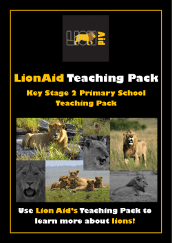 LionAid Teaching Pack