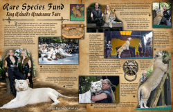 Bhajan and Mantra - Rare Species Fund