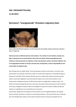 Germany`s &ldquo;energywende&rdquo; threatens migratory bats