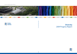 Diversity 2009 Progress Report
