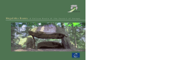 Megalithic Routes AC ulture R outeofthe C ouncilof E urope