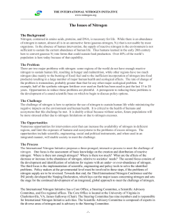 The Issues of Nitrogen