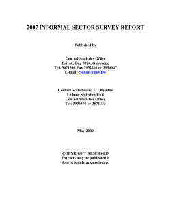 2007 informal sector survey report