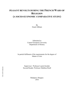 peasant revolts during the french wars of religion