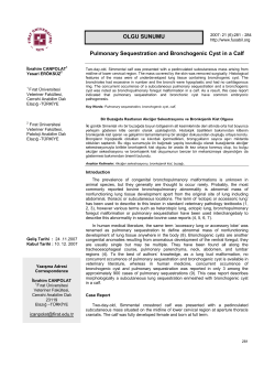 Pulmonary Sequestration and Bronchogenic Cyst in a Calf OLGU