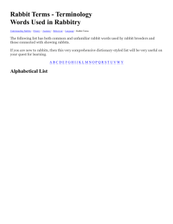 Rabbit Terms - Terminology Words Used in Rabbitry