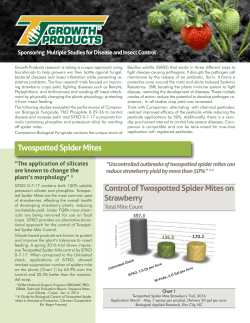 Layout 2 - Growth Products