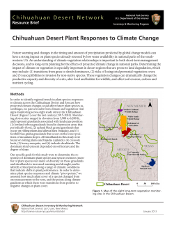 Chihuahuan Desert Plant Responses to Climate