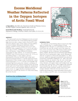 Eocene Meridional Weather Patterns Reflected in the Oxygen