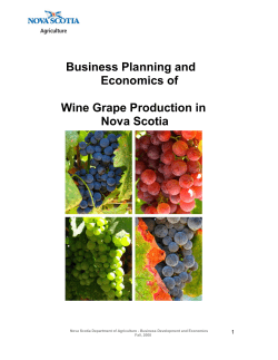 Business Planning and Economics of Wine Grape Production in